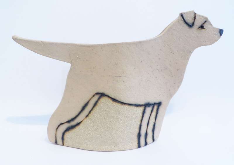 Golden Labrador
